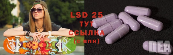 трава Билибино