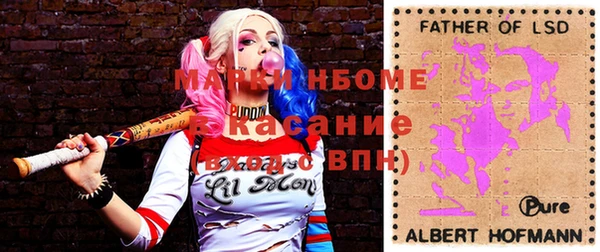 прущие грибы Михайловск