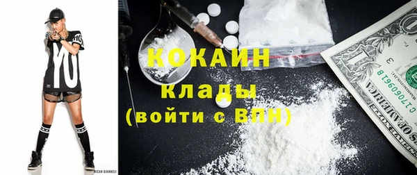 прущие грибы Михайловск