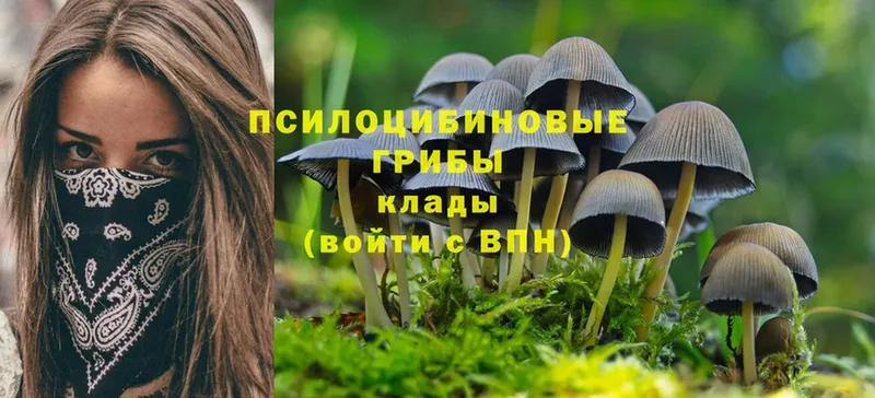 наркота  Ликино-Дулёво  Галлюциногенные грибы Magic Shrooms 